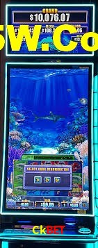 Live Casino Ckbet